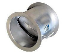 ����ֹ���y