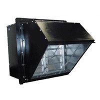 WEXDϵ��߅���S���L�C